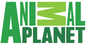 Animal-Planet.png