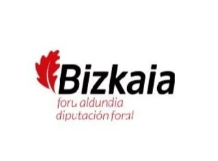 bizkaia-forualdundia.jpg