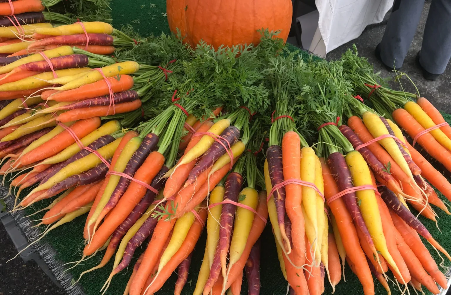 NH Farm to School Aims to Build Appetites for Fresher Foods and Local Connections
