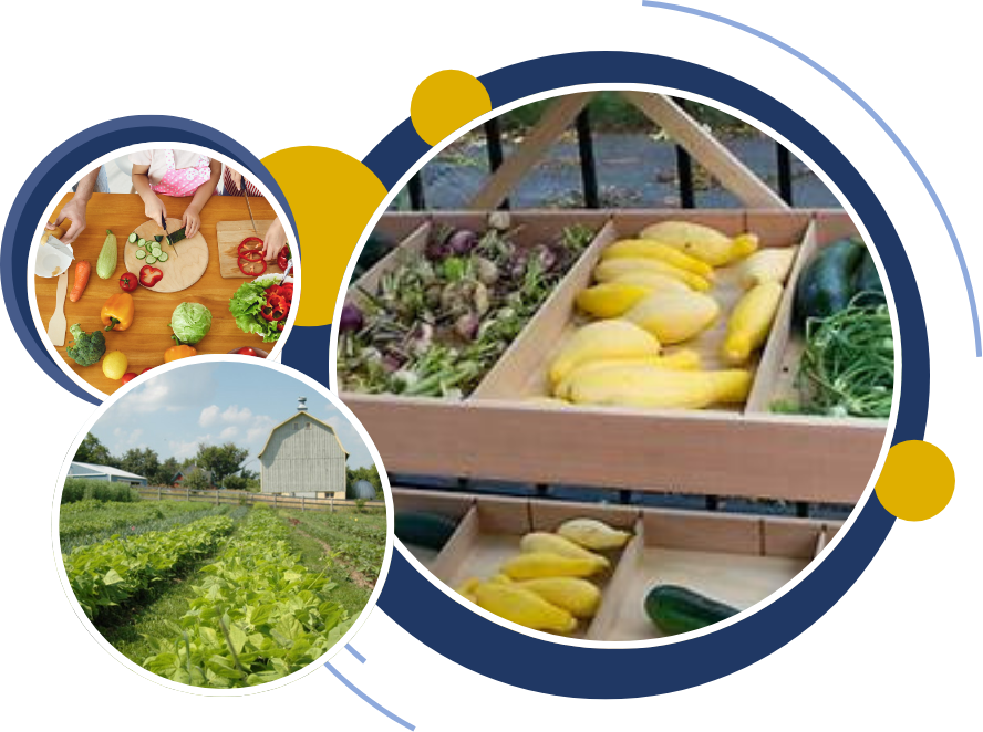 Circles with images of a farm growing lettuce, a farmers market bin with squashes insde, and then people preparing vegetables to be eaten