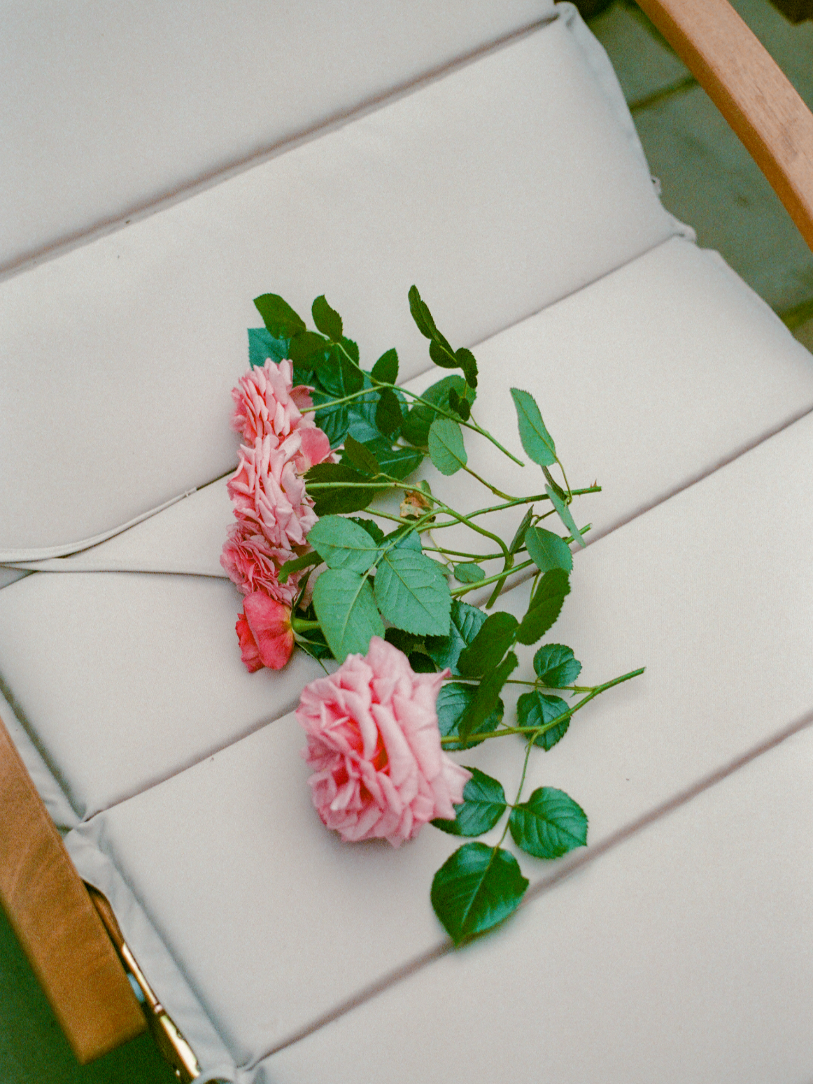 Pink roses with green leaves on a white cushioned chair.