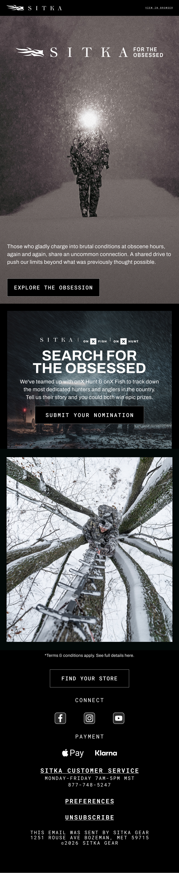 Email campaign design