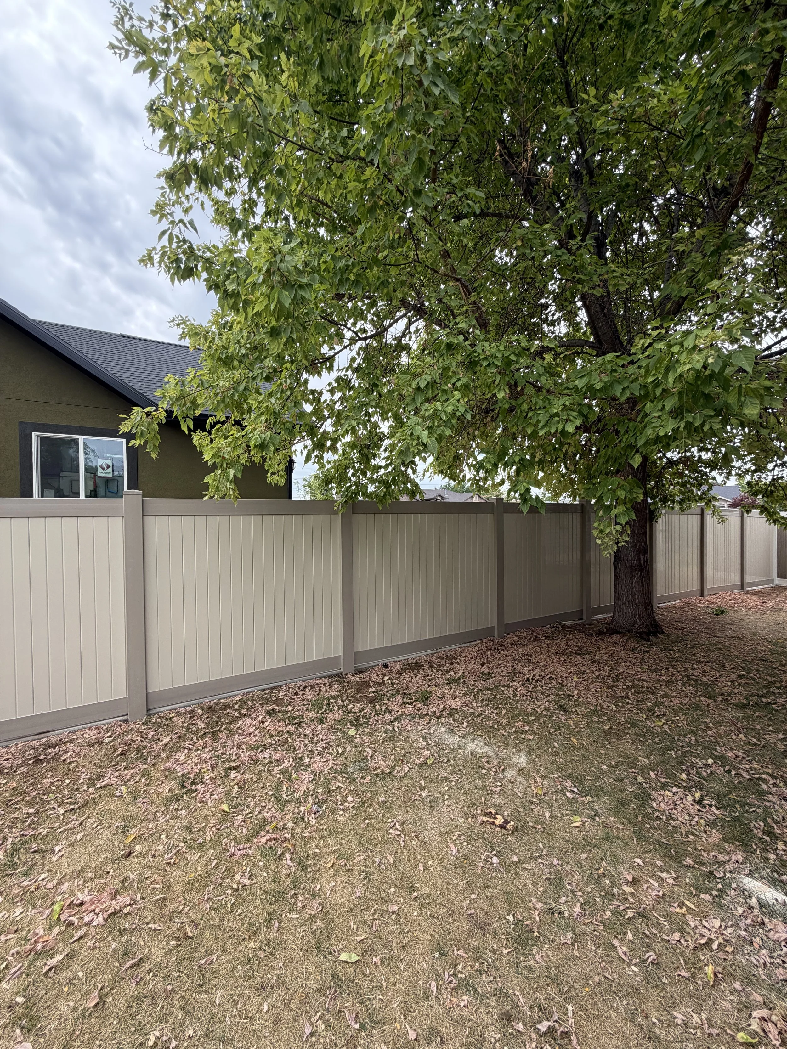 IMG_3614.jpeg