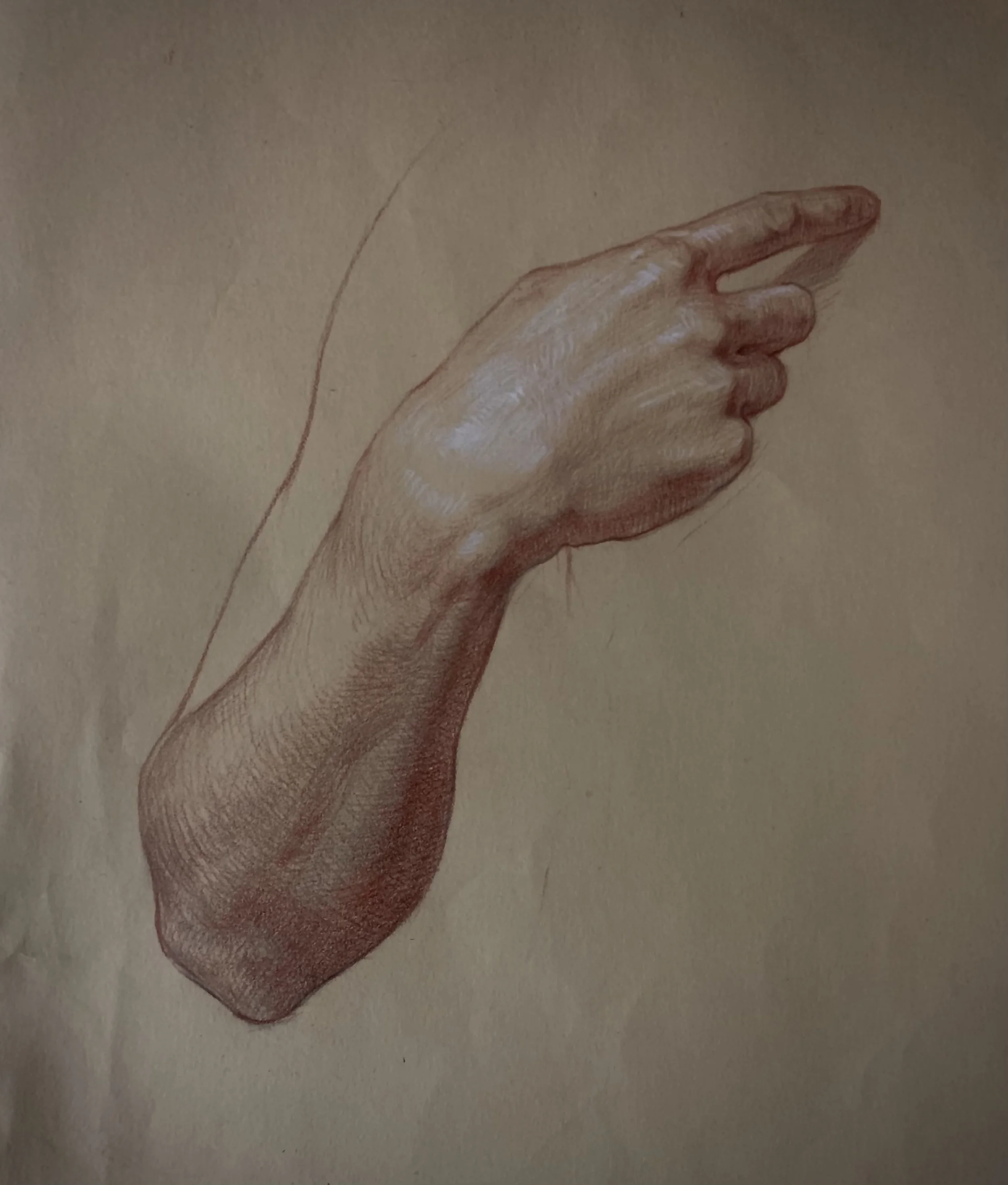 Hand Study 1
Sanguine and Graphite on Paper