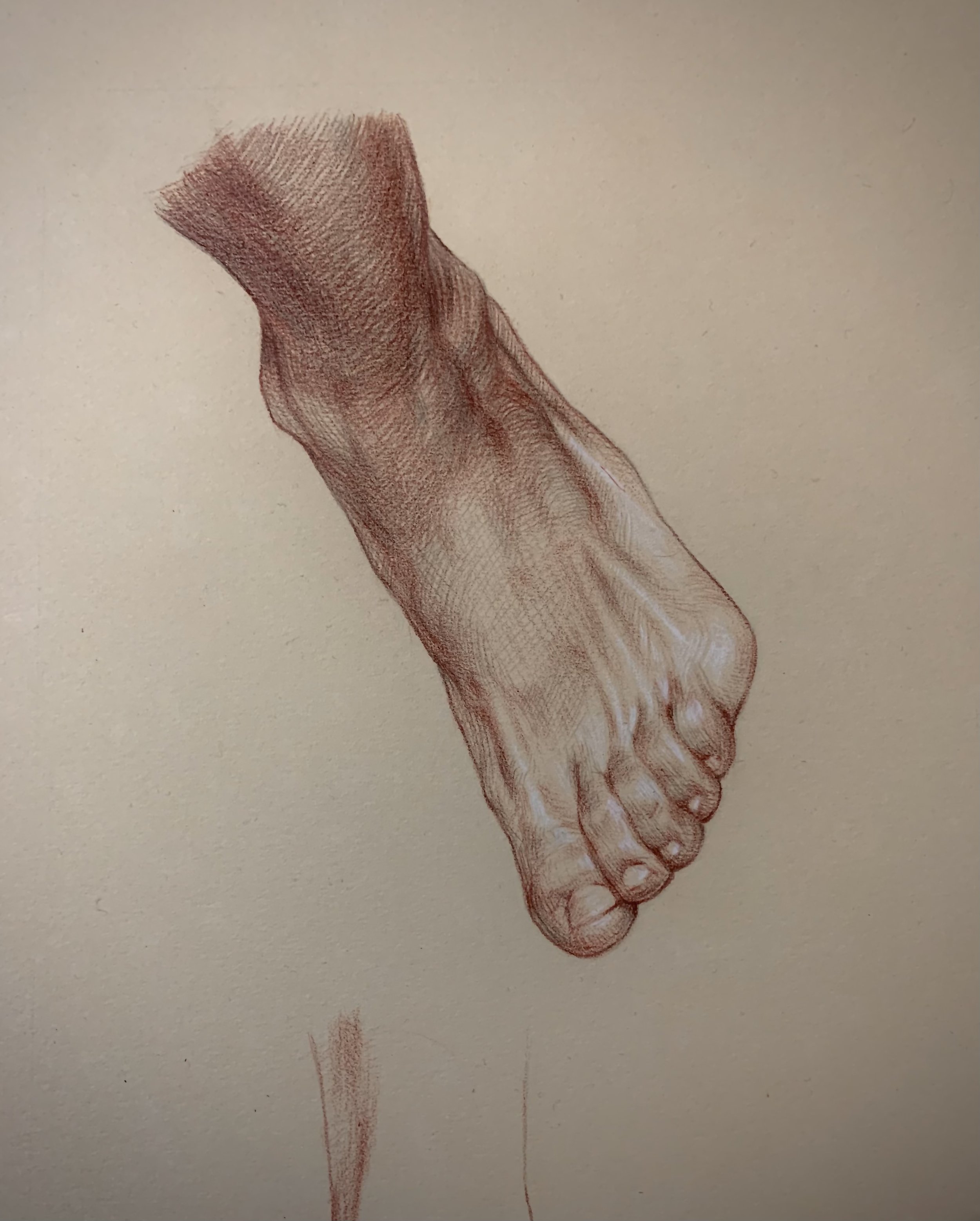 Foot Study 2
Sanguine and Graphite on Paper