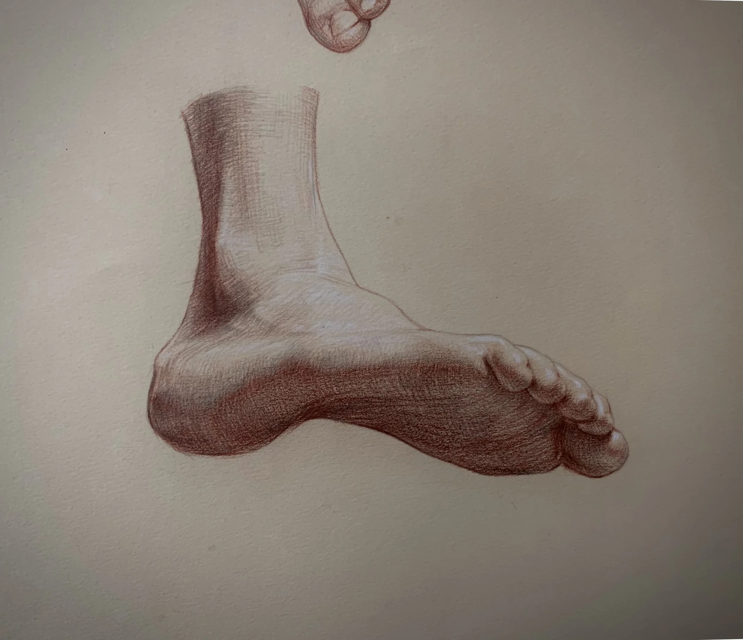 Foot Study 3
Sanguine and Graphite on Paper