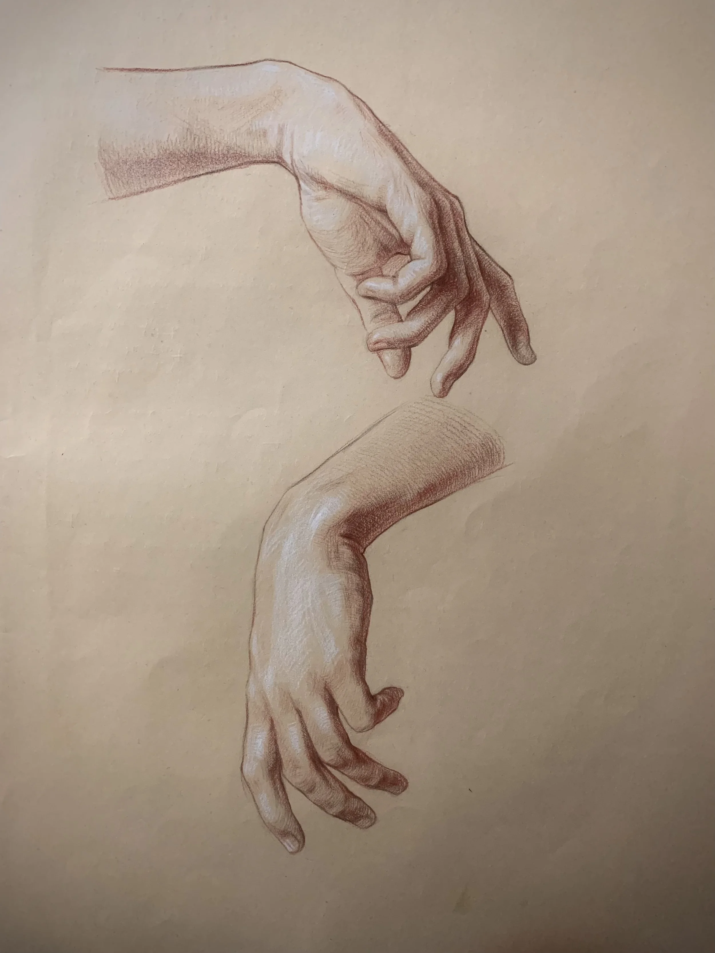 Hands Study 3
Sanguine and Graphite on Paper