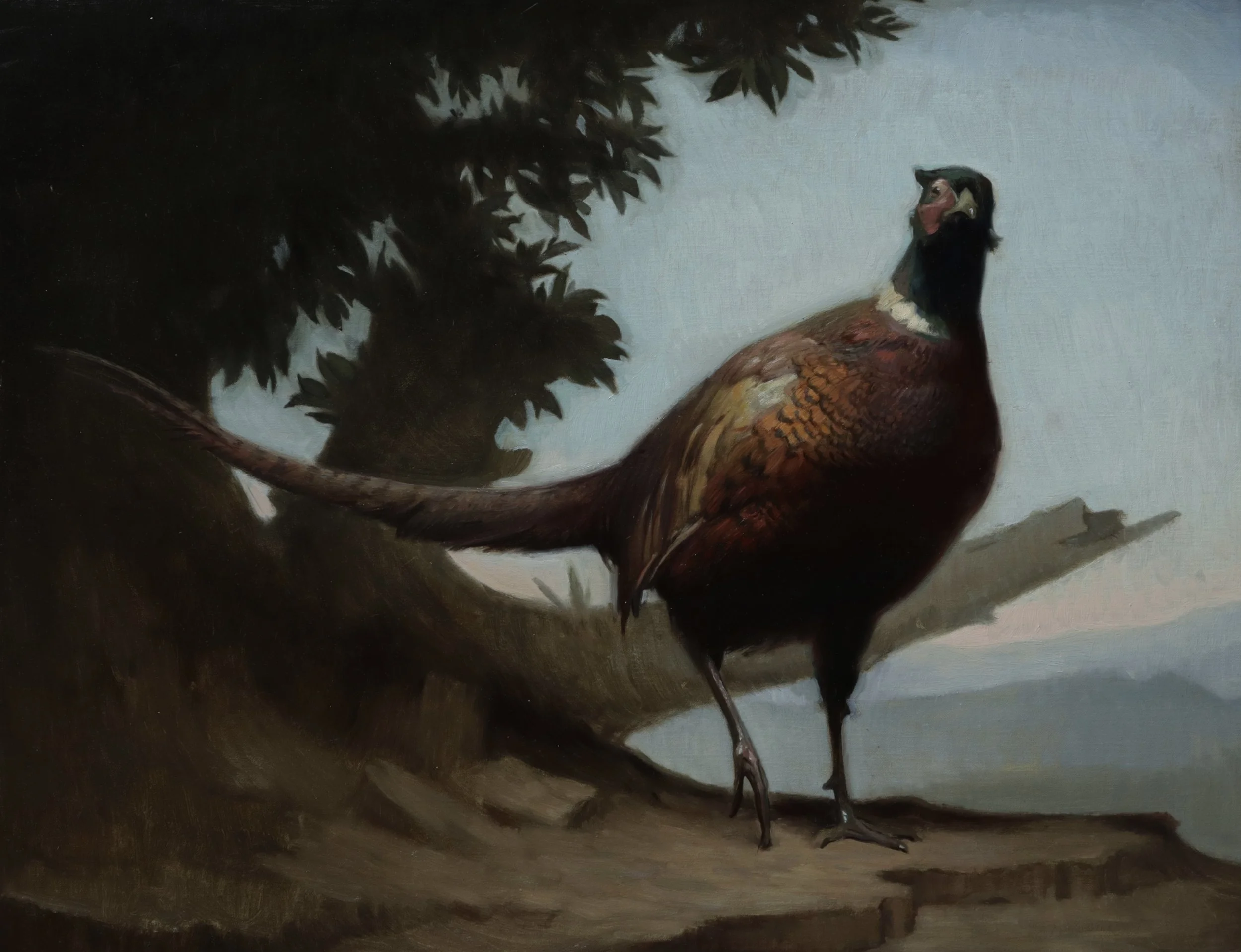 Still life with Pheasant
65x45 cm
oil on linen
2024