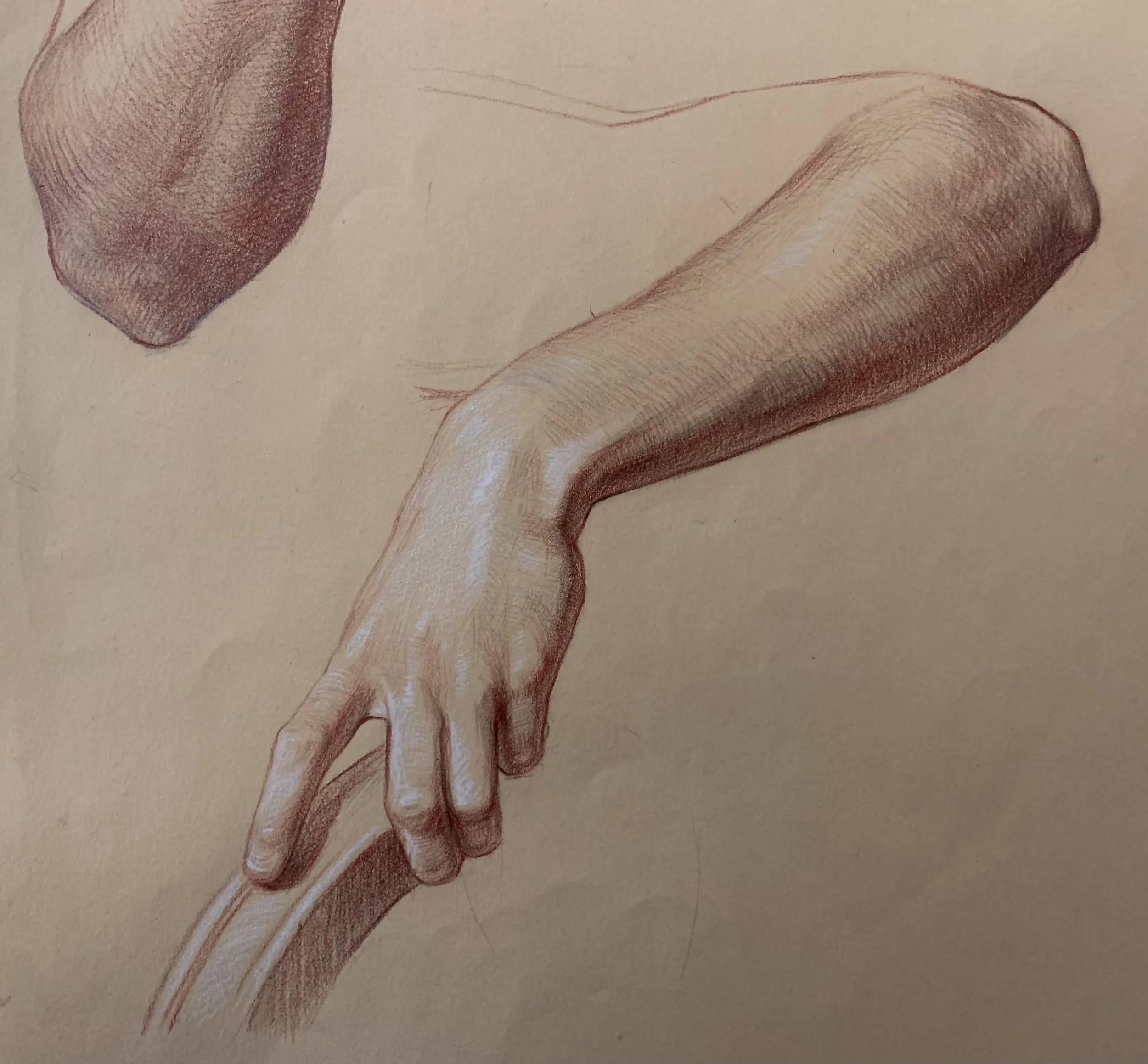 Hand Study 2
Sanguine and Graphite on Paper