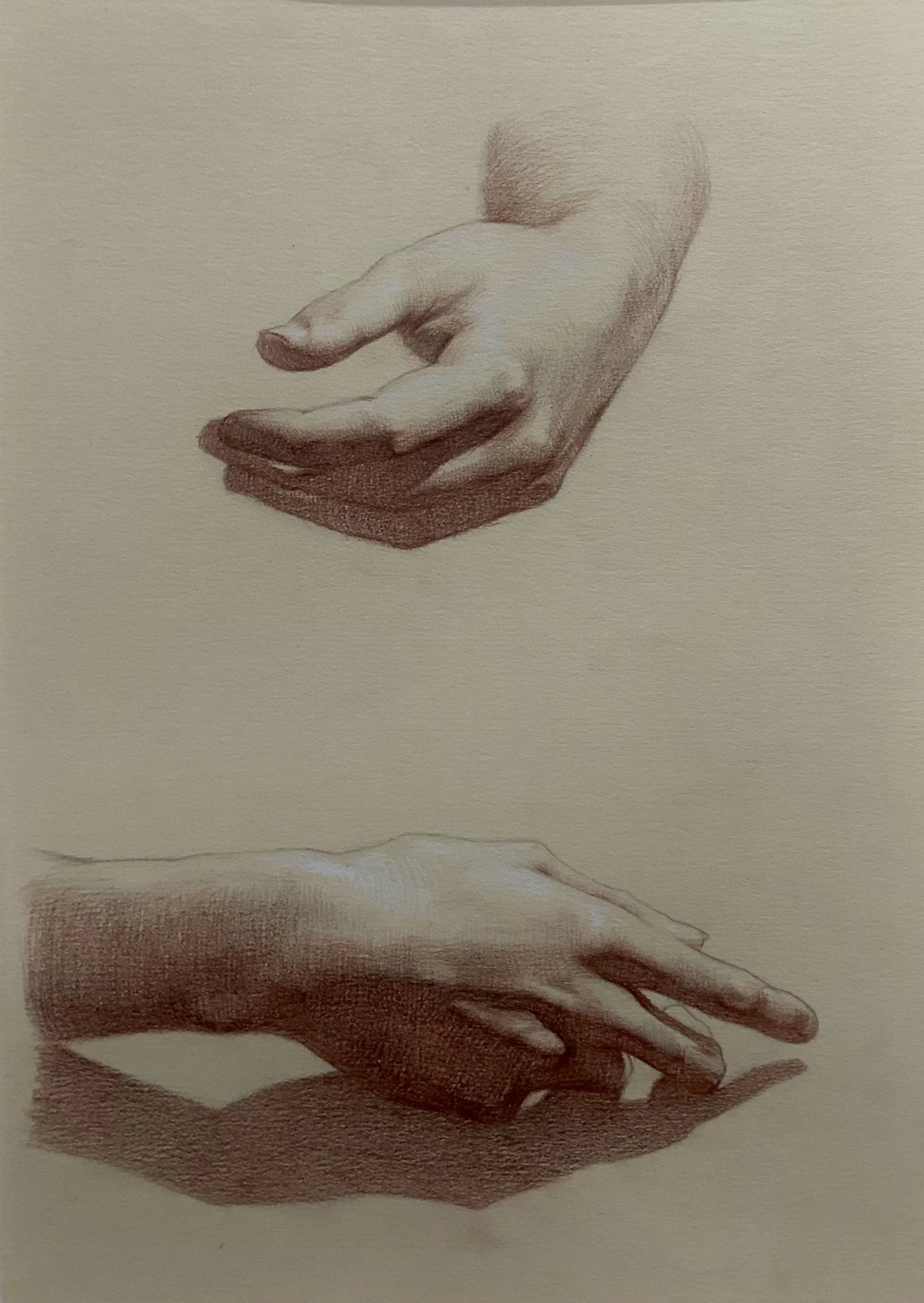 Hands Study 7
Sanguine and Graphite on Paper