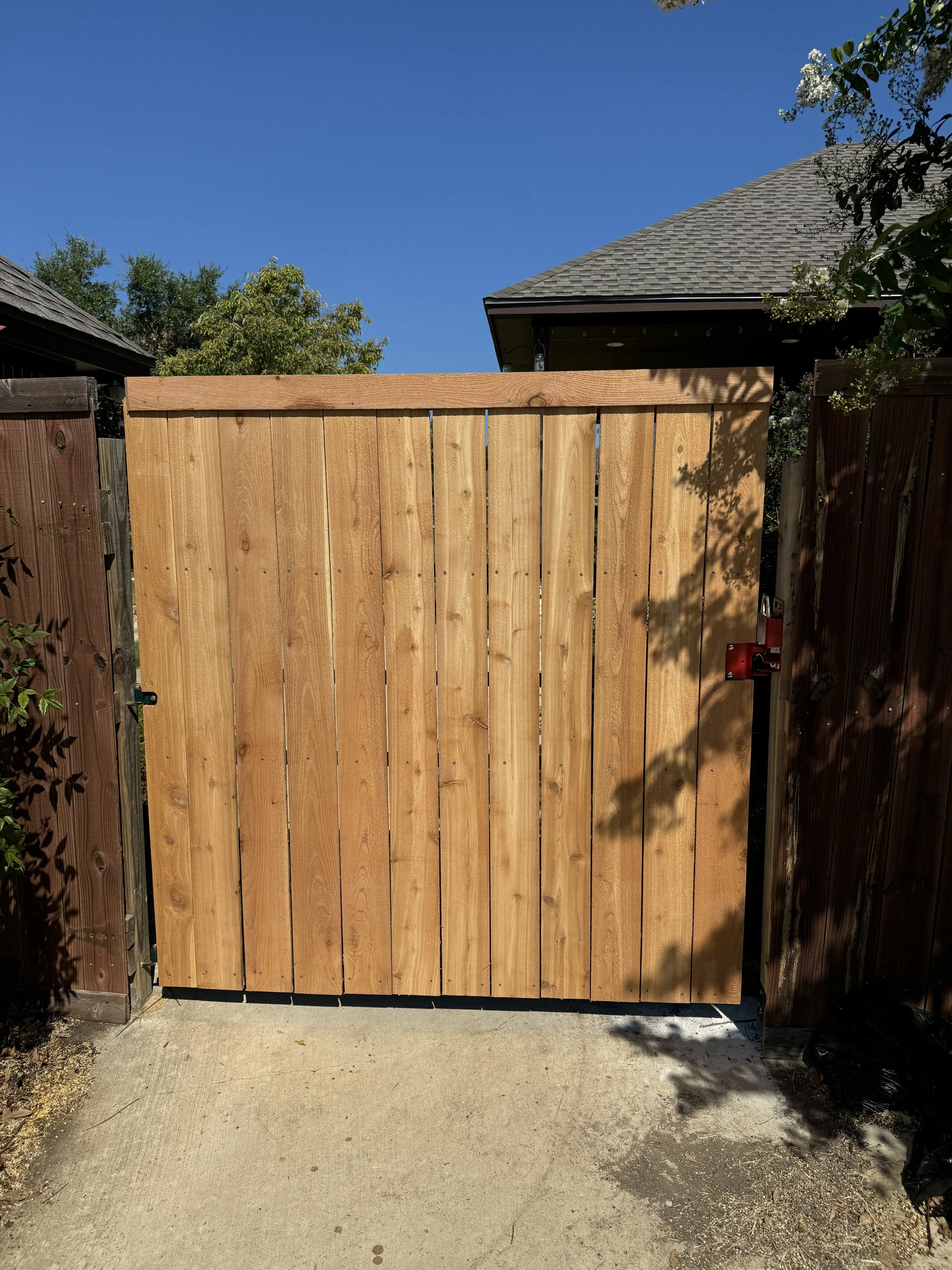 Photo Jul 12 2024, 10 24 35 AM.jpg