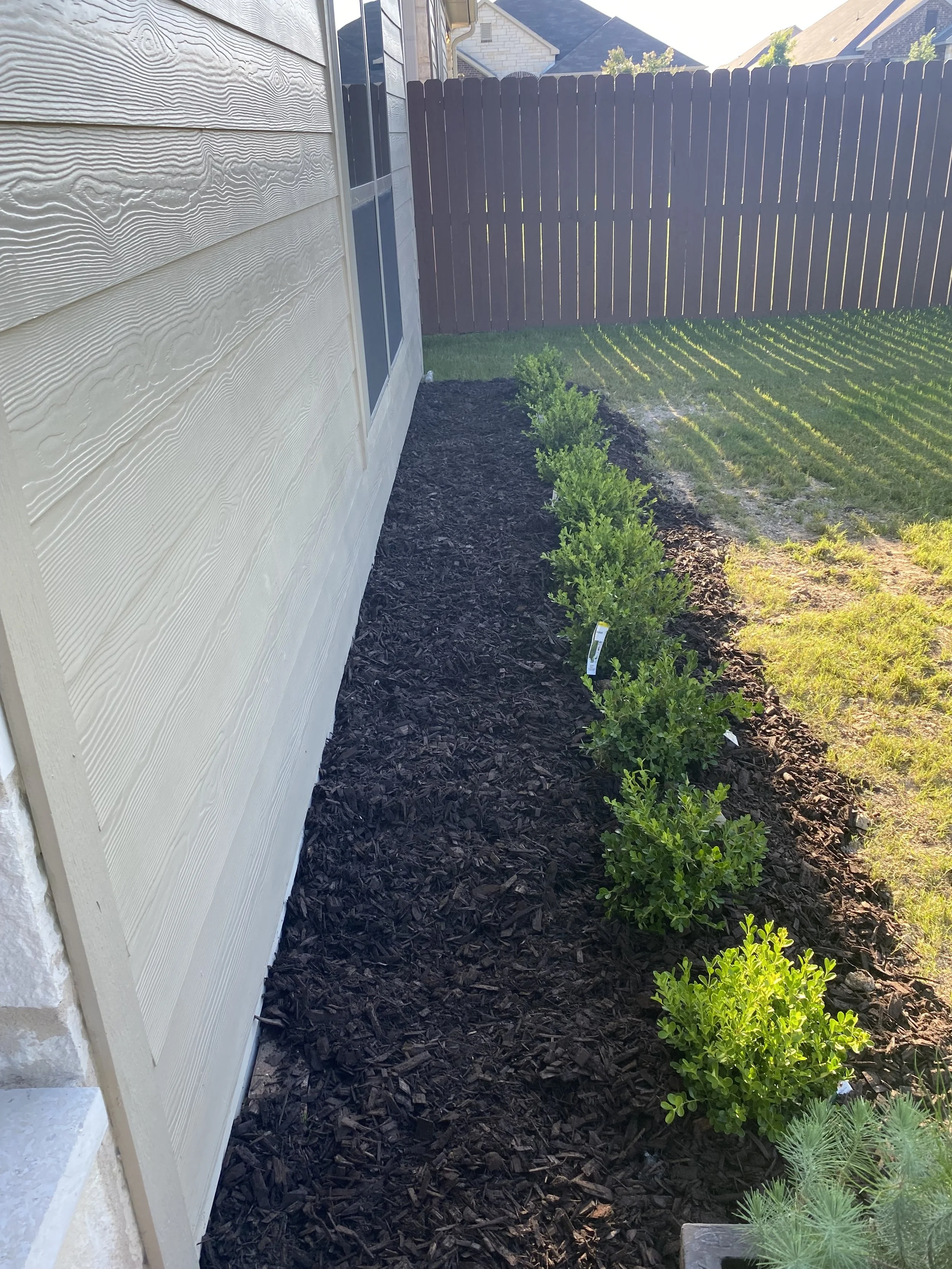 Photo Jun 04 2022, 6 42 47 PM.jpg