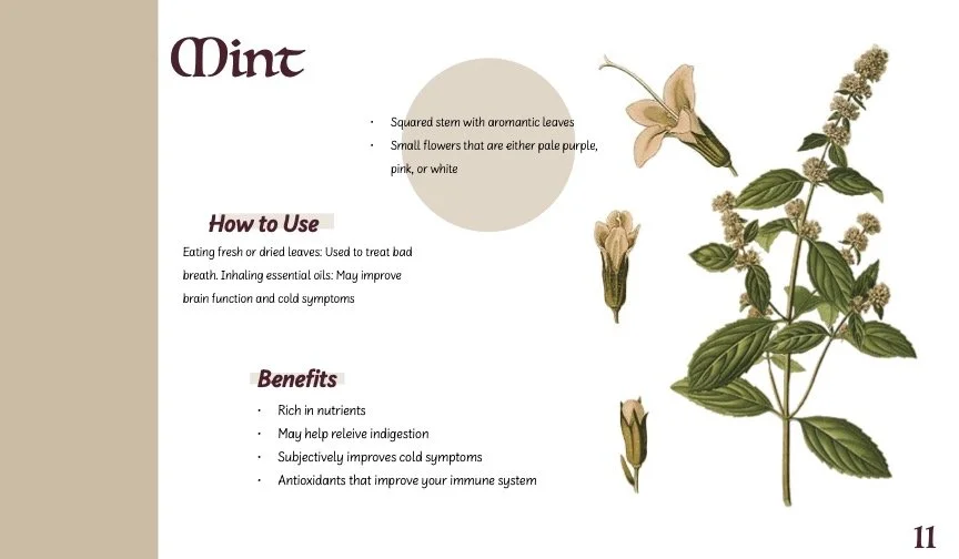 HerbBook.jpg