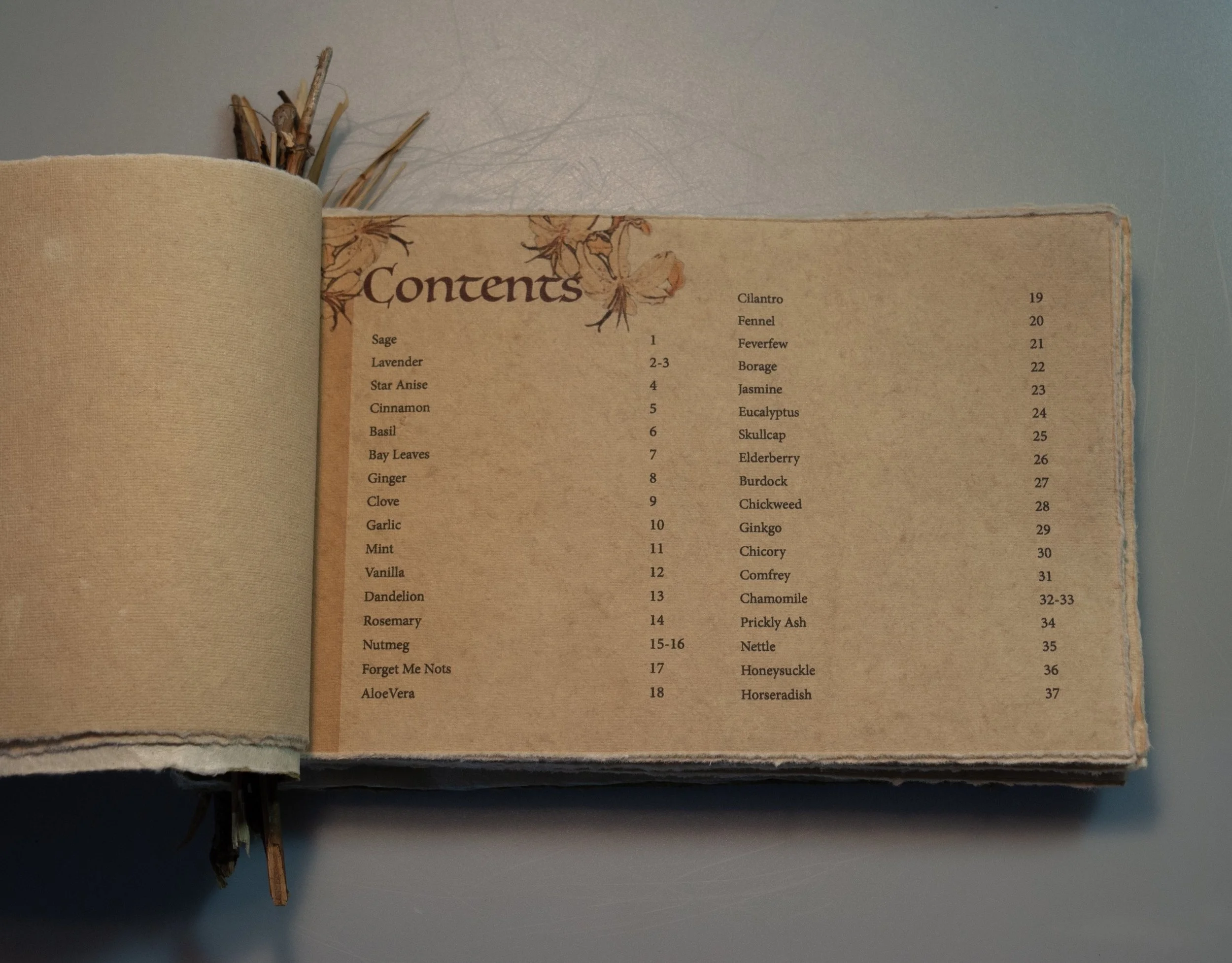 BookOpenCont.jpg