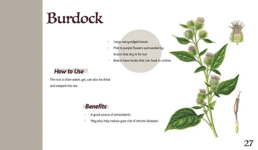 HerbBook.jpg