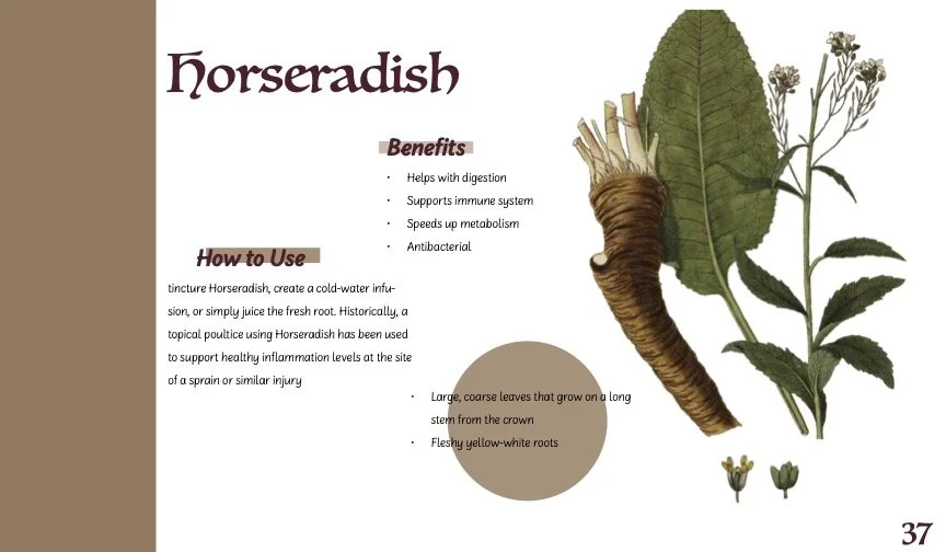 HerbBook.jpg