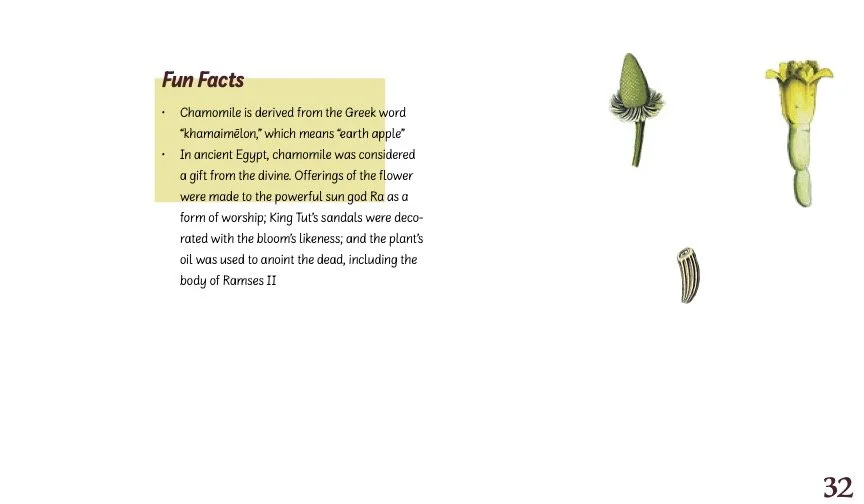 HerbBook.jpg