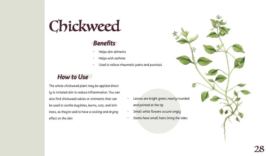 HerbBook.jpg