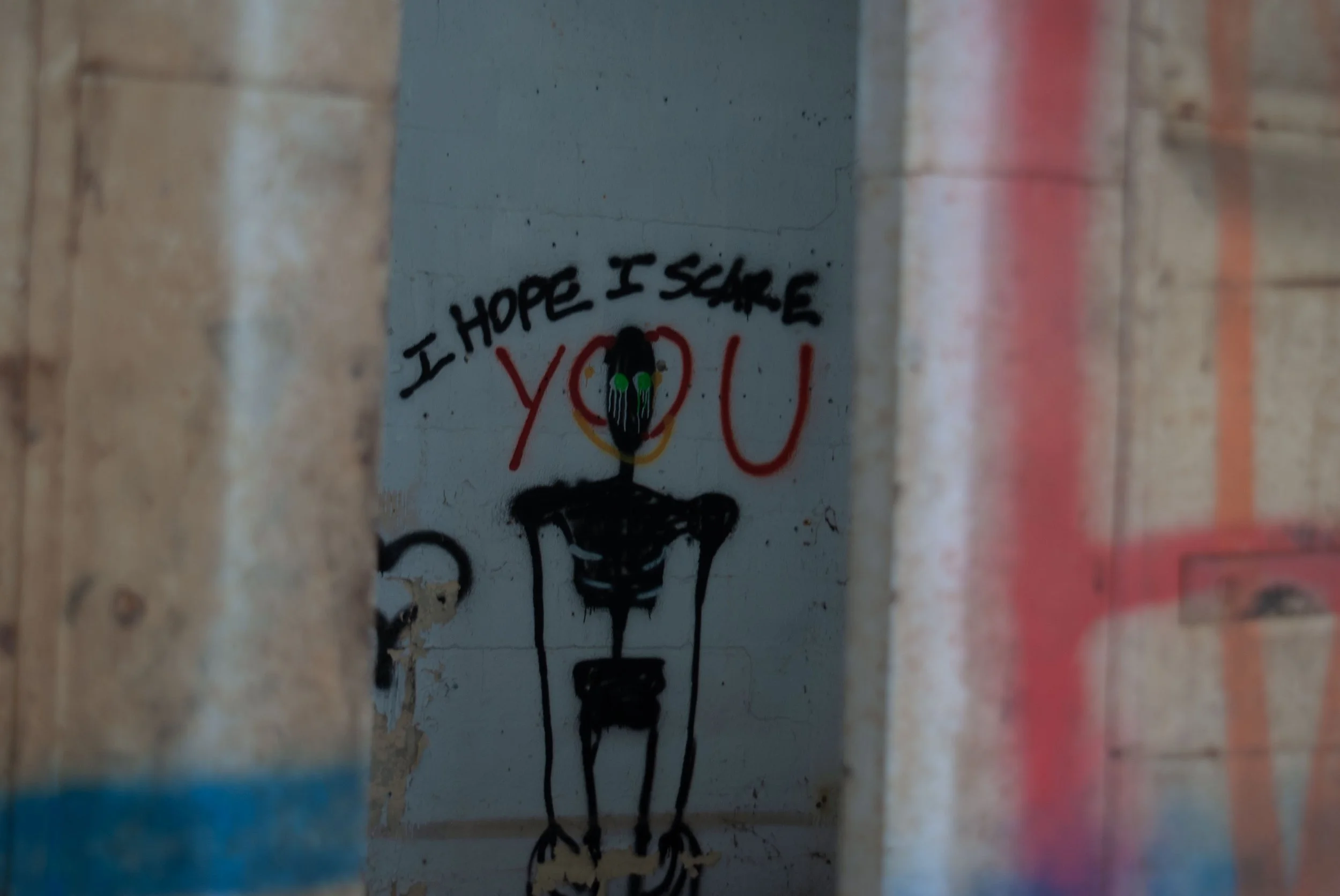 DSC_0113.jpg