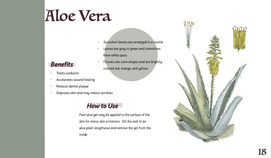HerbBook.jpg