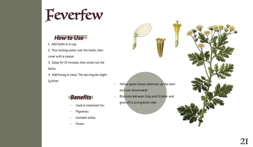 HerbBook.jpg