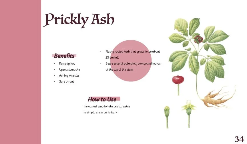 HerbBook.jpg