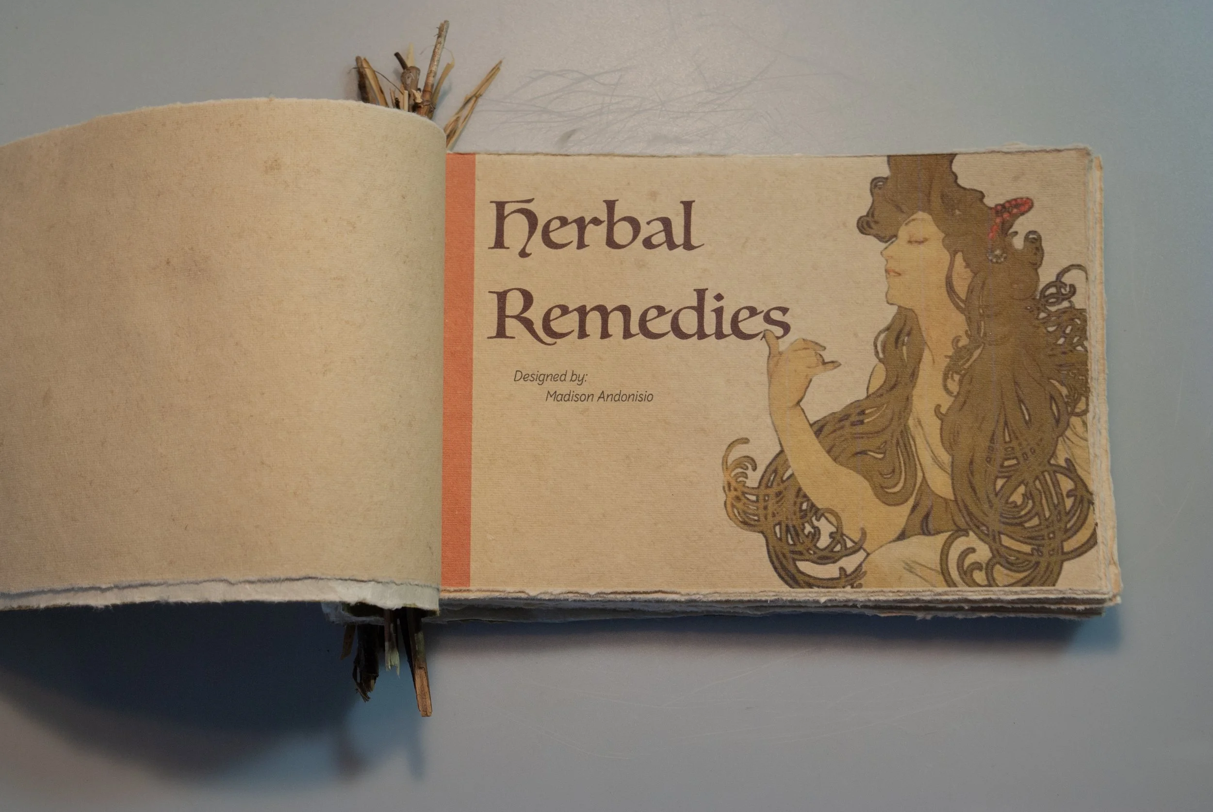BookOpenCover.jpg