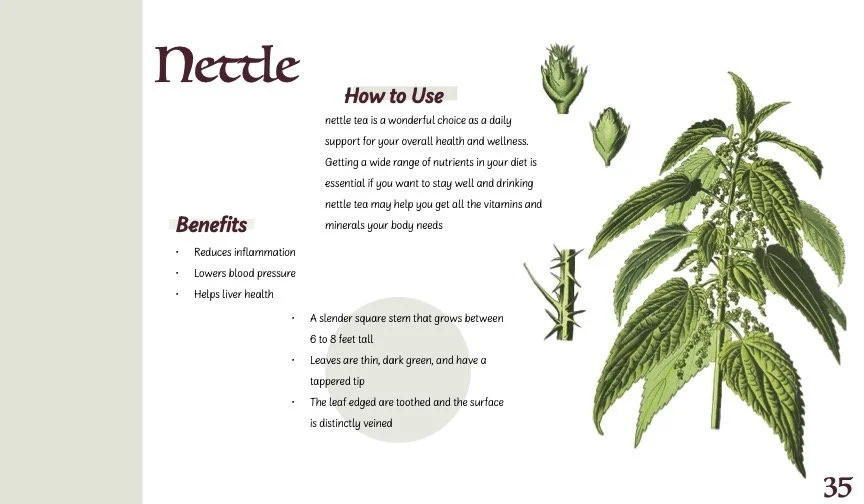 HerbBook.jpg
