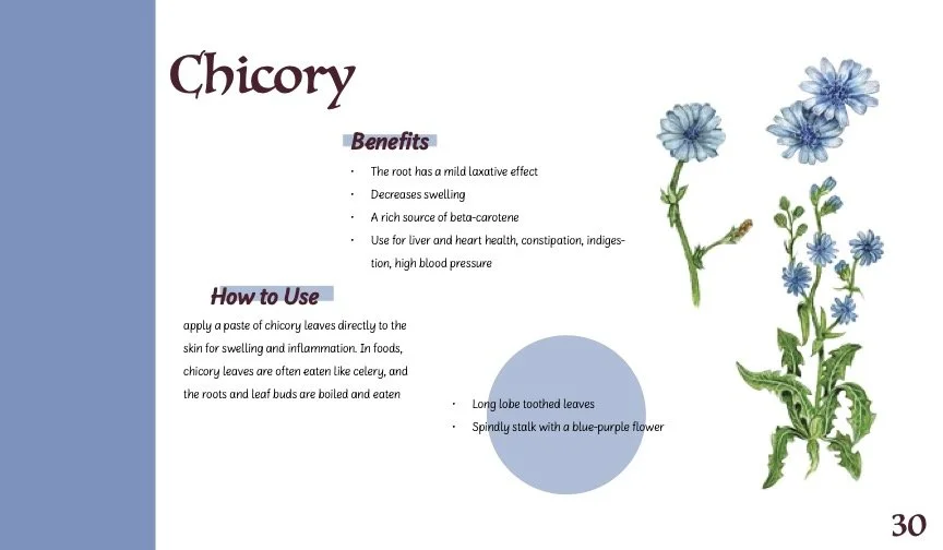 HerbBook.jpg
