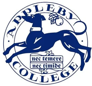 School 8