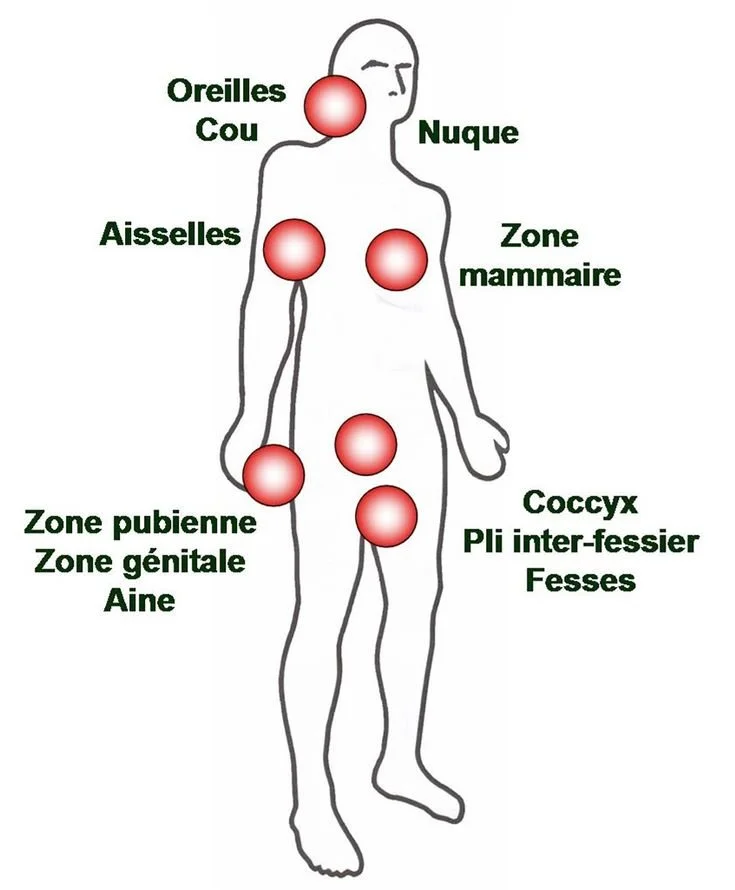 LA MALADIE DE VERNEUIL