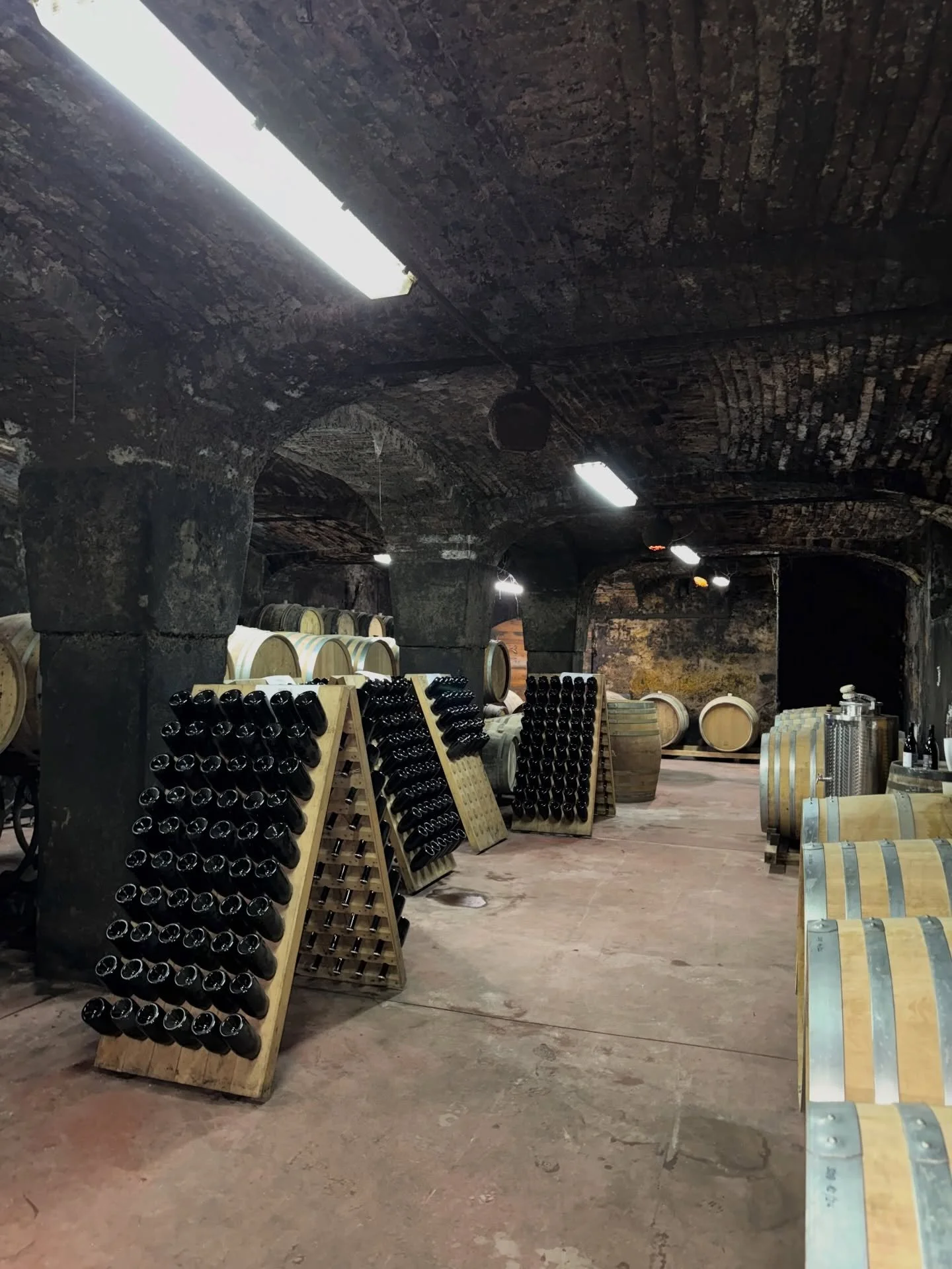 V petek smo &scaron;li na &ldquo;teren&rdquo;. Ne v Francijo, ampak v @ptujskaklet, kjer smo tudi uradno potrdili na&scaron;e prvo vinsko partnerstvo za kulinarične delavnice.

Na francoski bistro delavnici si želimo, da ne boste samo kuhali, ampak t