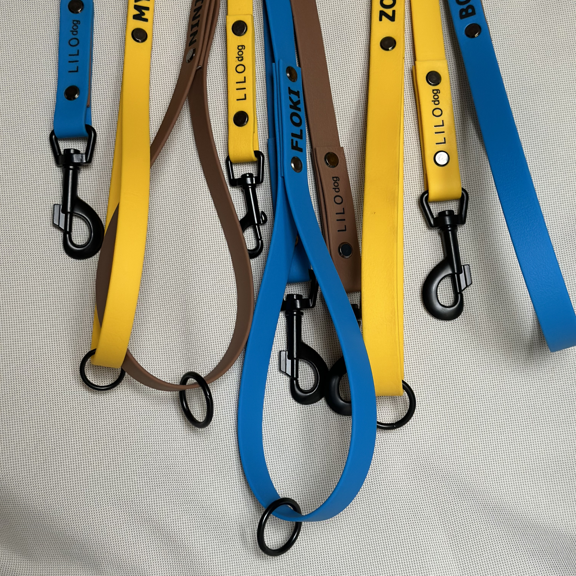 connect spletnnna.png