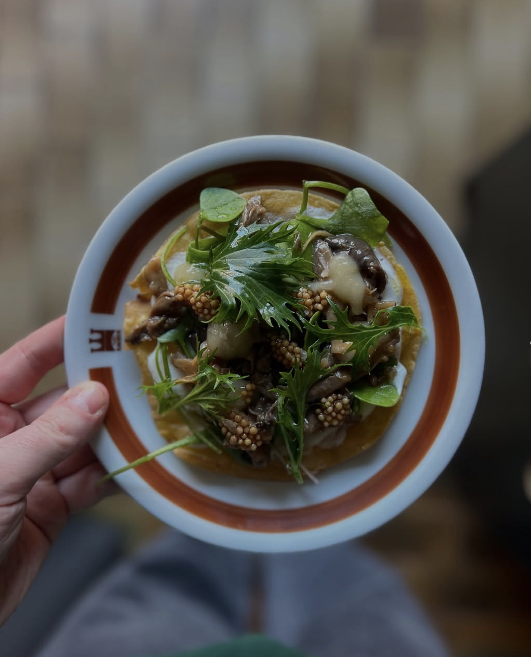 Screenshot 2026-02-25 at 13.02.27.png