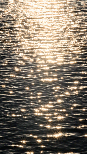 RHEIN.gif