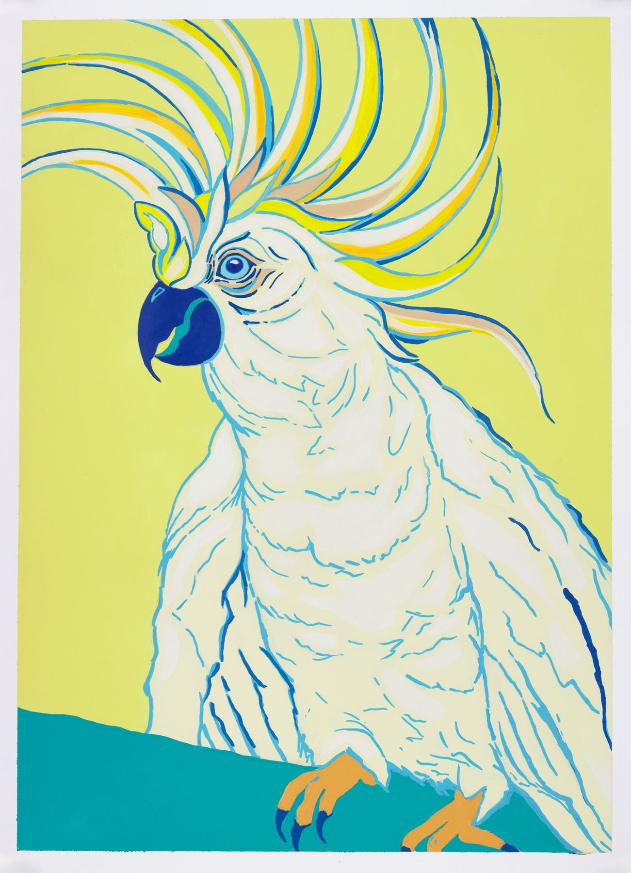 Cockatoo.jpg