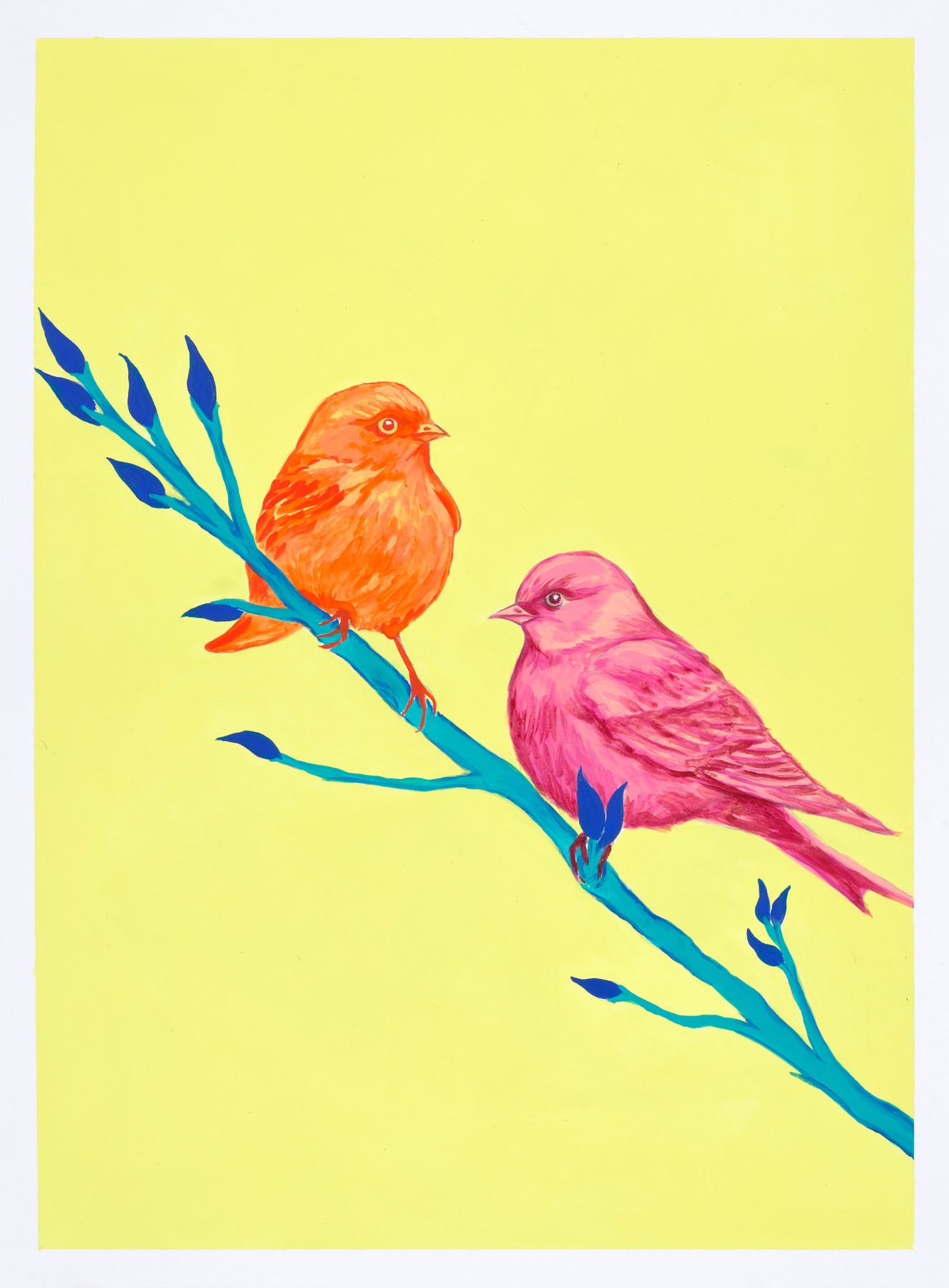 Yellow_Orange_Birds.jpg