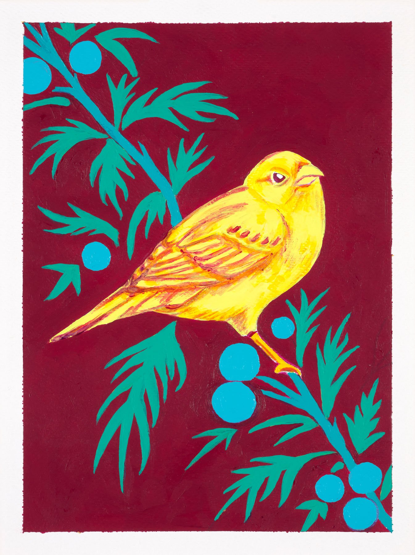 Crimson_Yellow_Bird.jpg