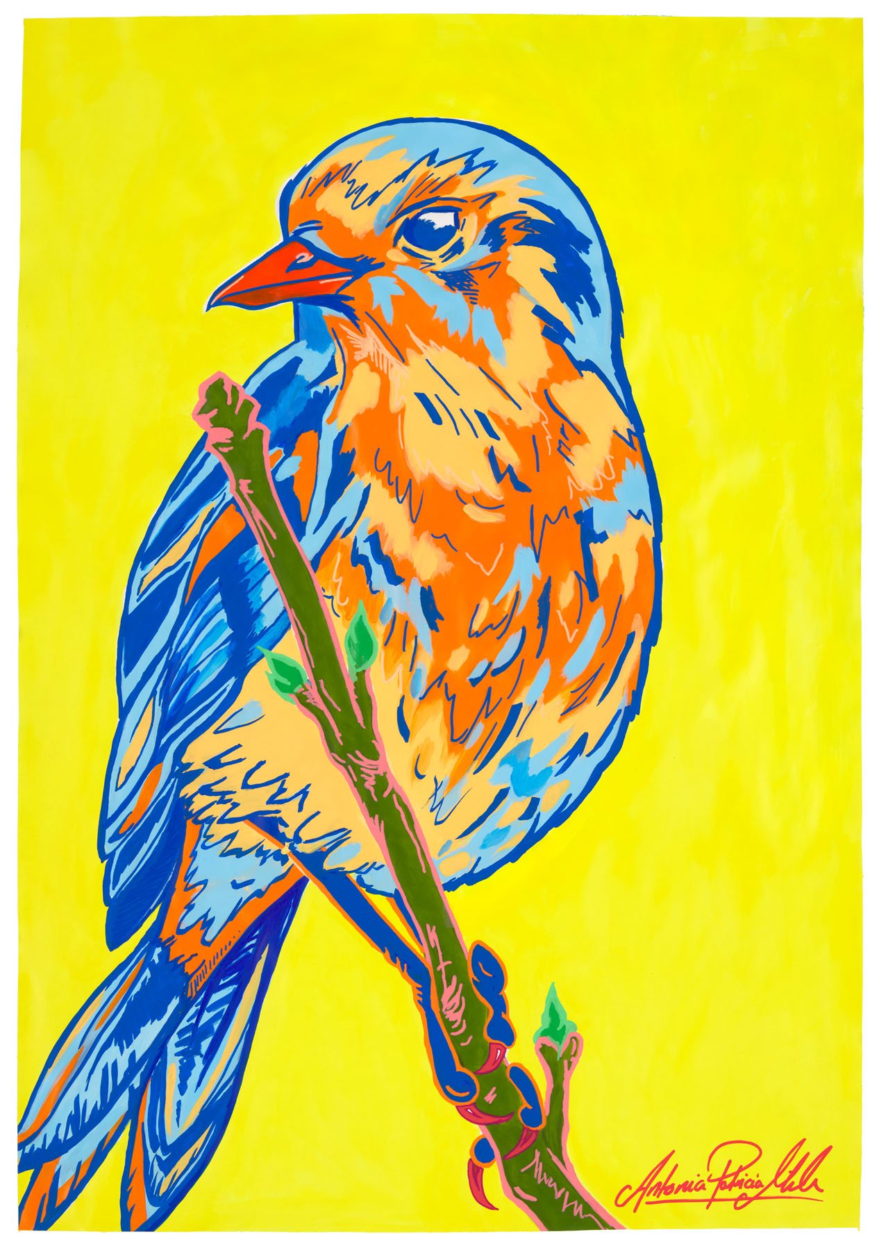 Yellow_Blue_Bird .jpg