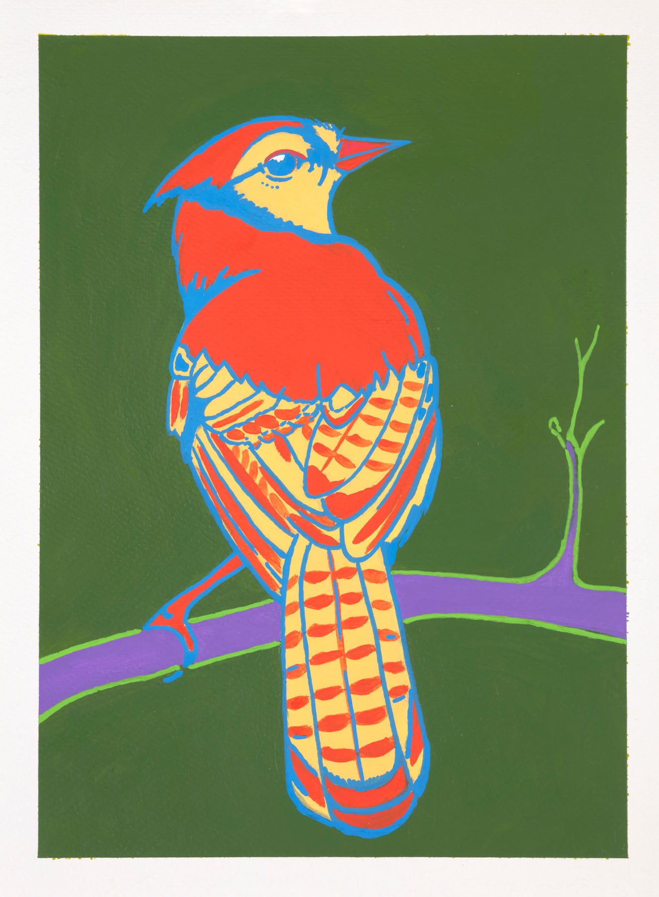 Green_Red_Jay.jpg