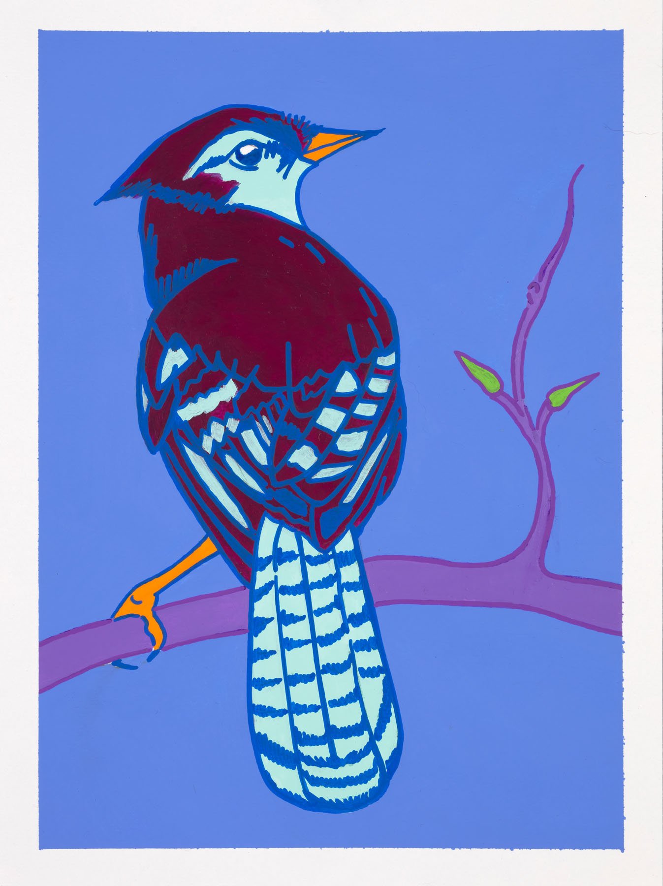 Baby_Blue_Purple_Bird.jpg