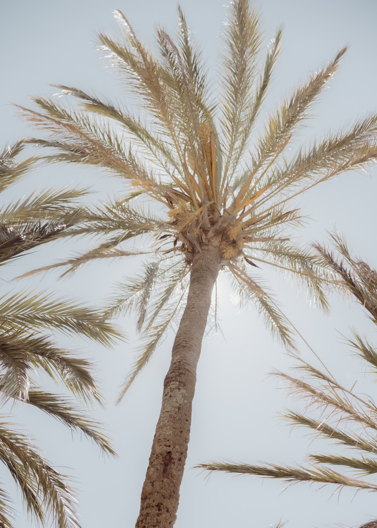 Mallorca_Wedding_Photographer-7142.jpg