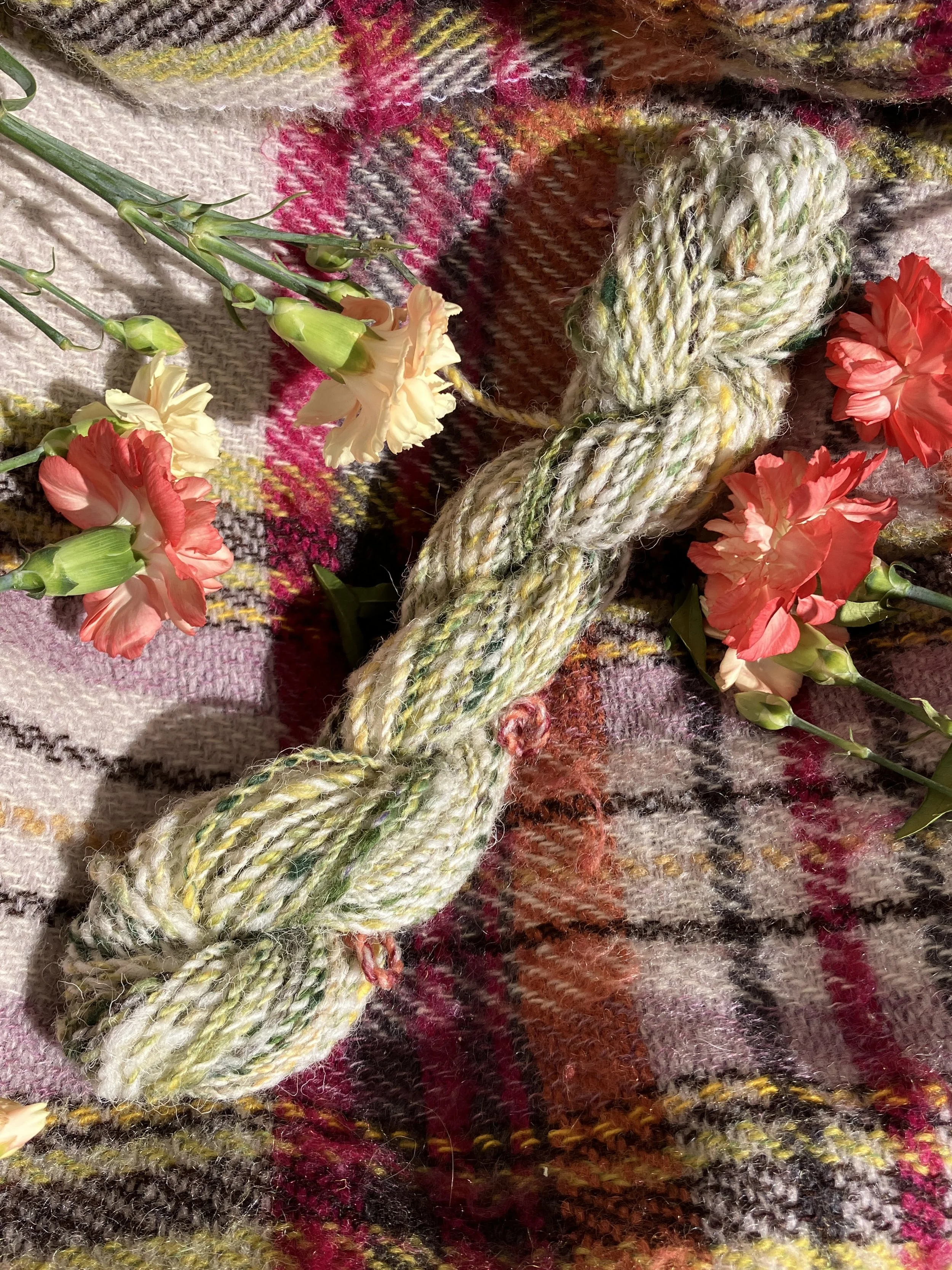Daffodil - 2ply