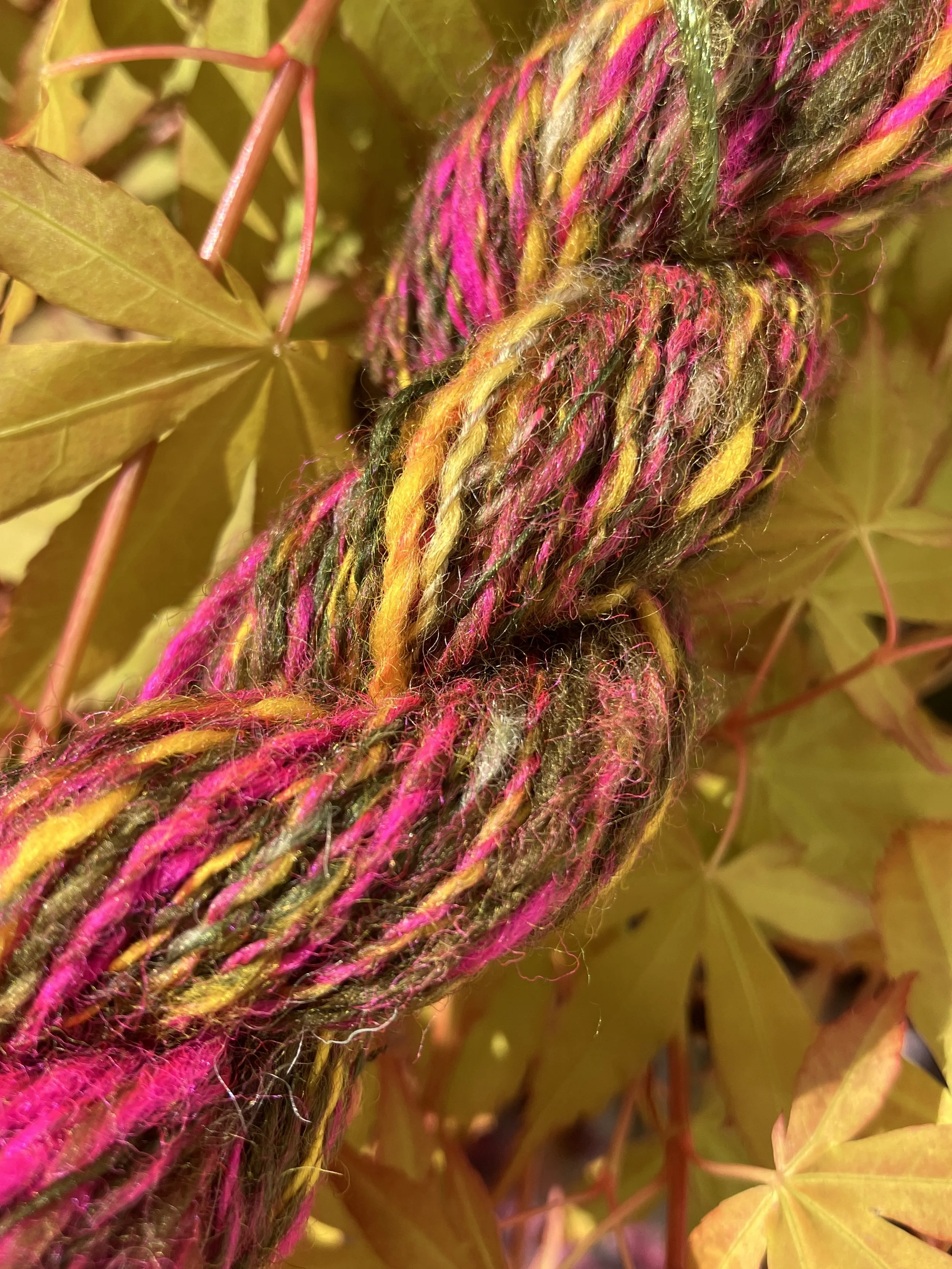 IMG_5679.JPG