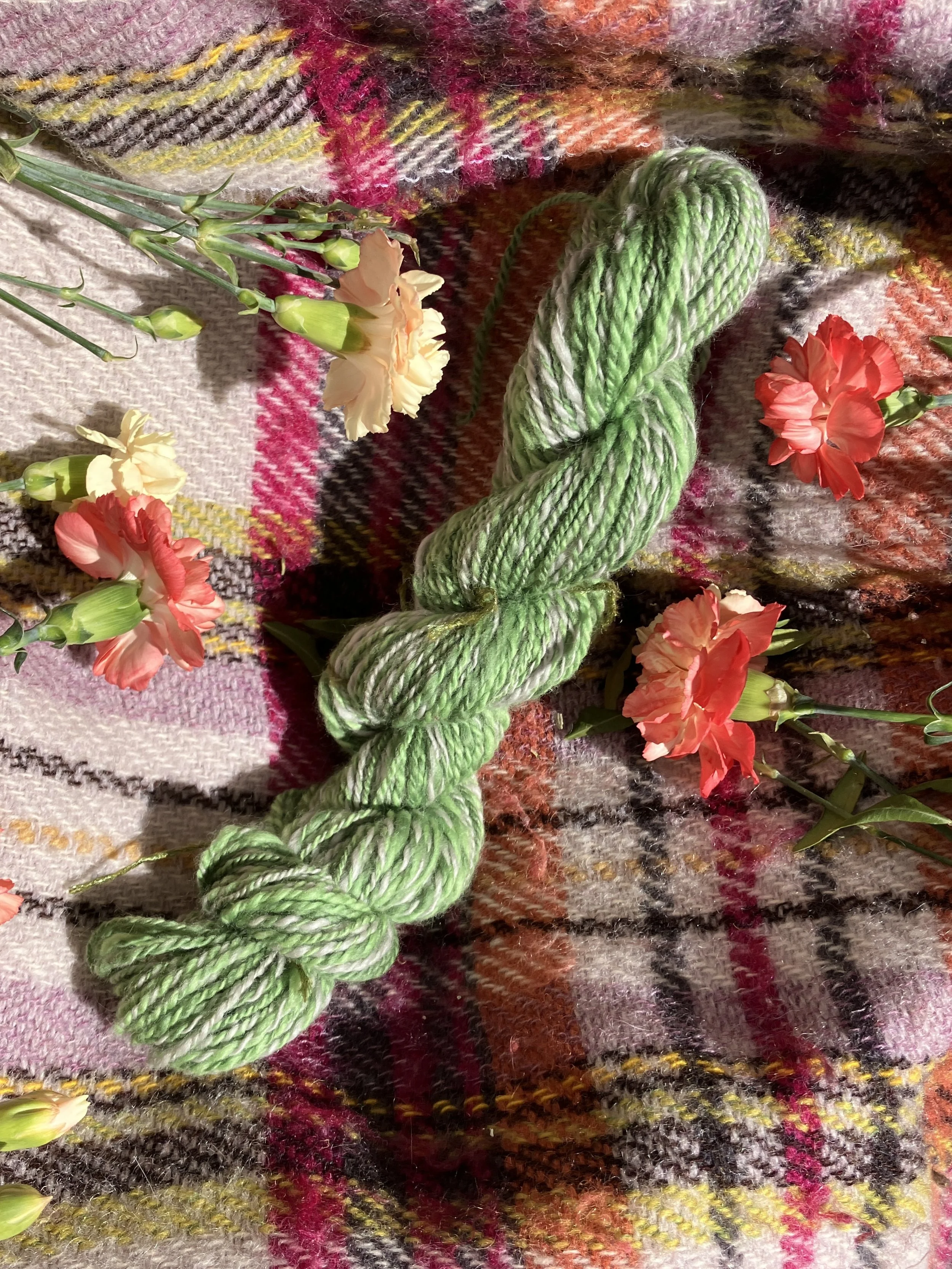 Ivy - 2ply