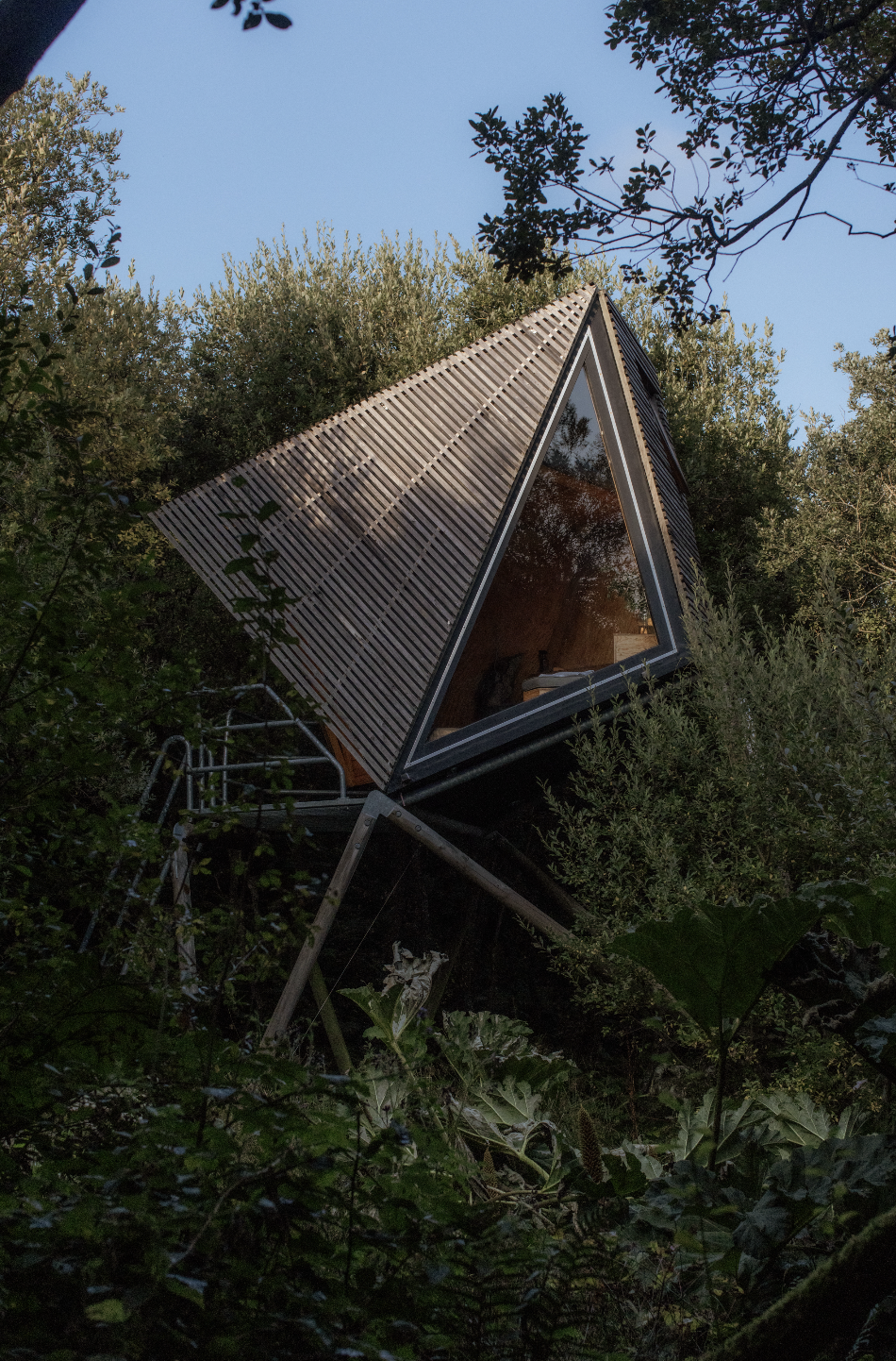 Screenshot 2026-03-20 at 12.06.44.png