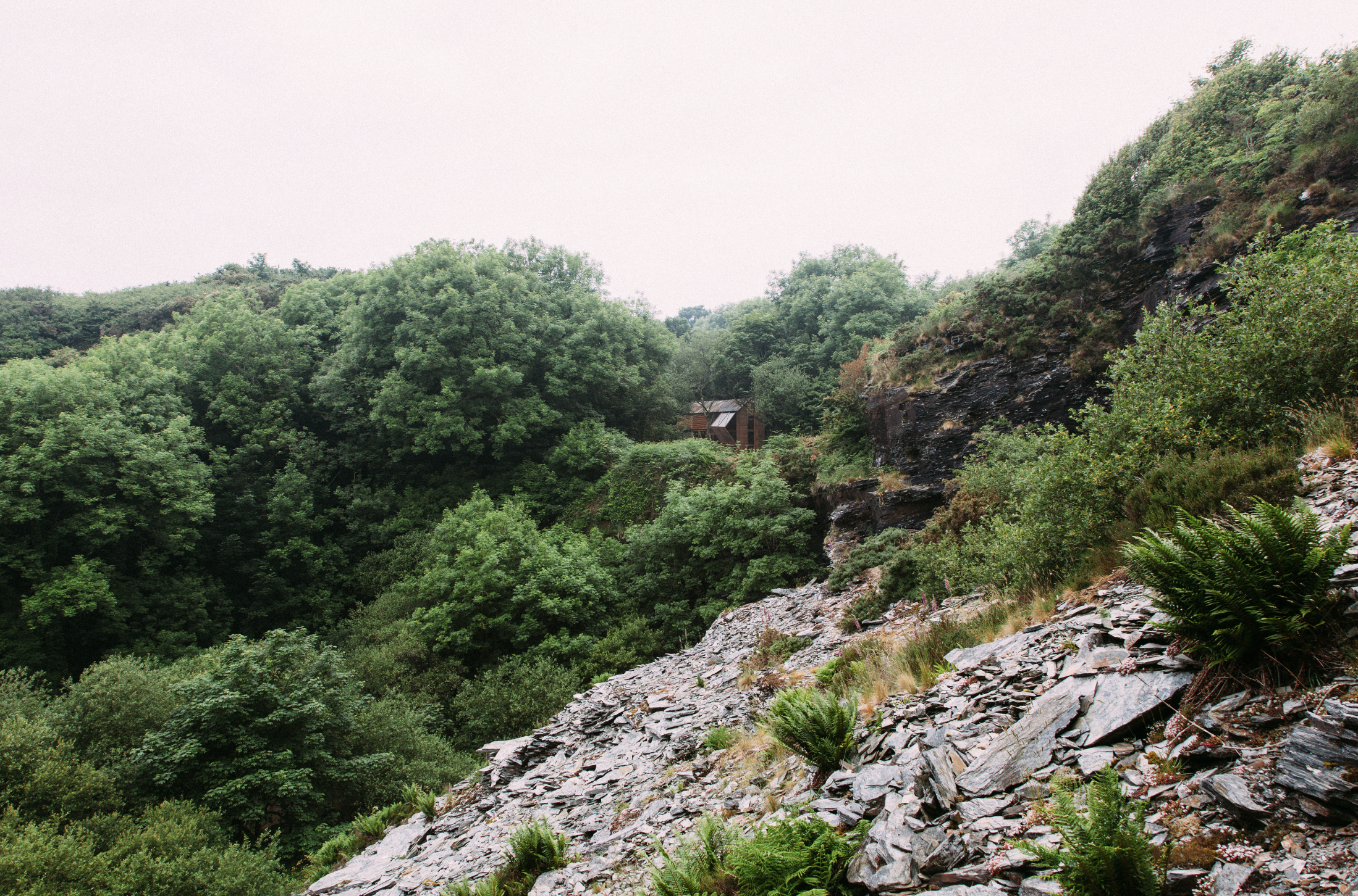 Screenshot 2026-03-20 at 11.40.02.png