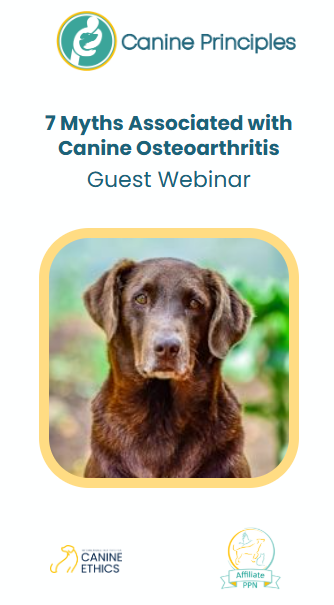 Webinar: Debunking myths about osteoarthritis dogs
