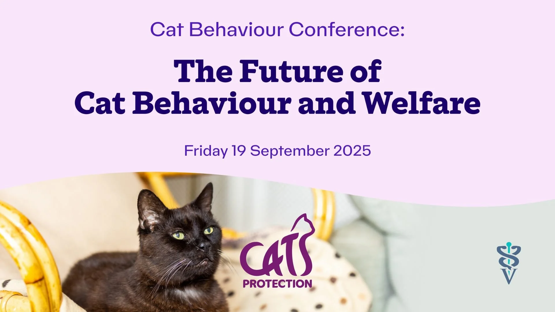 Webinar: The Future of Cat Behaviour & Welfare