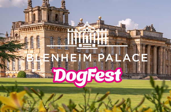 DogFest, Blenheim Palace - Oxfordshire